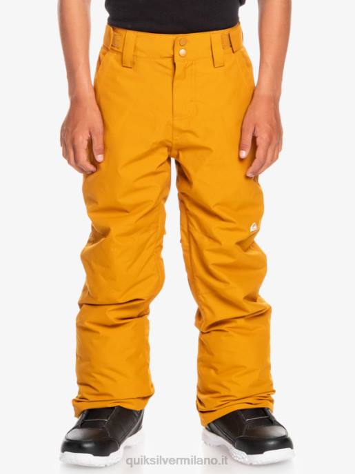 esso Quiksilver ragazzi 8-16 pantaloni da neve station wagon marrone spinoso HTZR2293