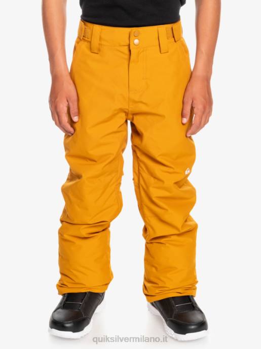 esso Quiksilver ragazzi 8-16 pantaloni da neve station wagon marrone spinoso HTZR2293