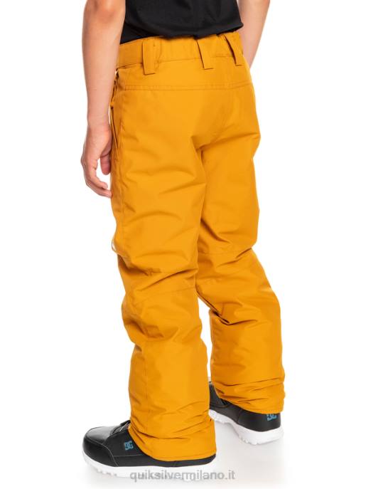 esso Quiksilver ragazzi 8-16 pantaloni da neve station wagon marrone spinoso HTZR2293