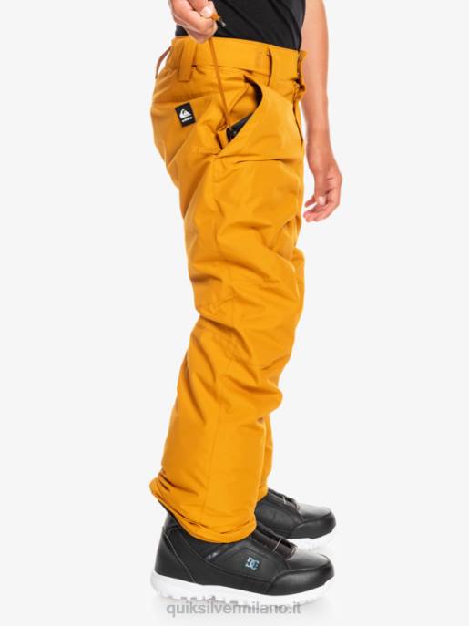 esso Quiksilver ragazzi 8-16 pantaloni da neve station wagon marrone spinoso HTZR2293