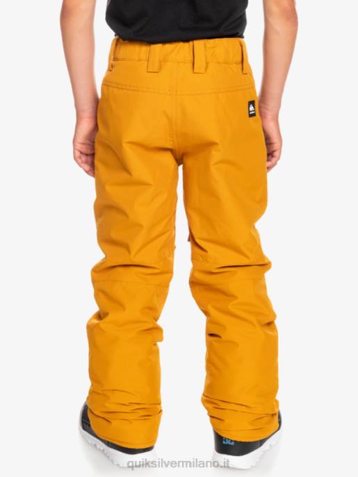 esso Quiksilver ragazzi 8-16 pantaloni da neve station wagon marrone spinoso HTZR2293