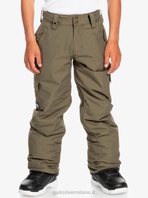 esso Quiksilver ragazzi Pantaloni da neve porter 8-16 foglia d'uva HTZR2259