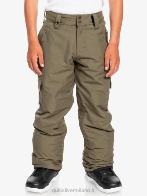 esso Quiksilver ragazzi Pantaloni da neve porter 8-16 foglia d\'uva HTZR2259