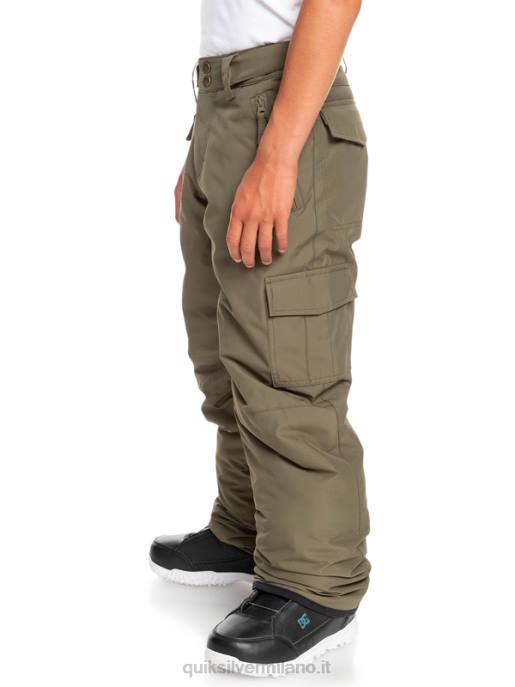 esso Quiksilver ragazzi Pantaloni da neve porter 8-16 foglia d\'uva HTZR2259