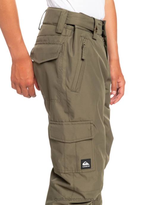 esso Quiksilver ragazzi Pantaloni da neve porter 8-16 foglia d\'uva HTZR2259