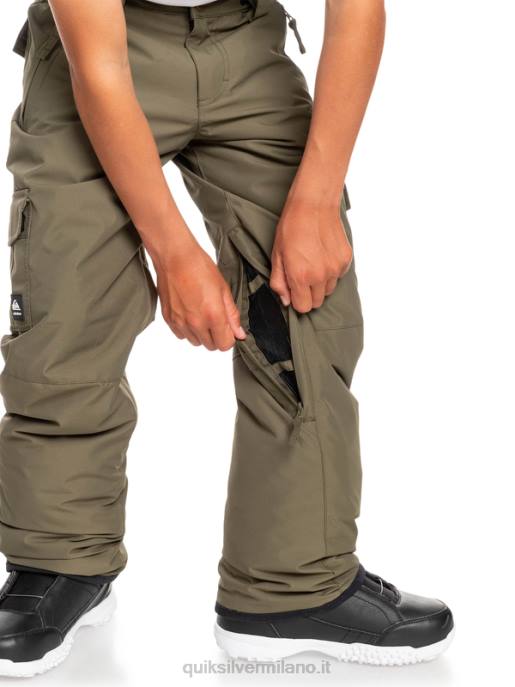 esso Quiksilver ragazzi Pantaloni da neve porter 8-16 foglia d\'uva HTZR2259