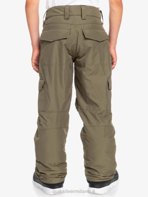 esso Quiksilver ragazzi Pantaloni da neve porter 8-16 foglia d\'uva HTZR2259