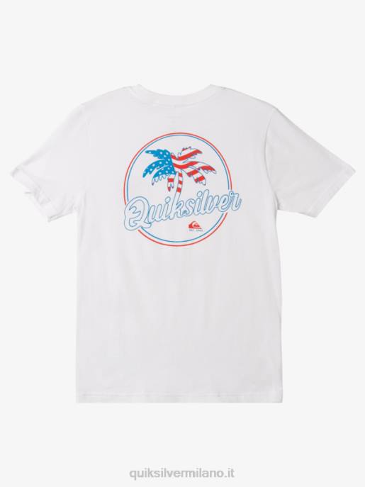 esso Quiksilver ragazzi 8-16 t-shirt ventilata con palmo bianco HTZR1956