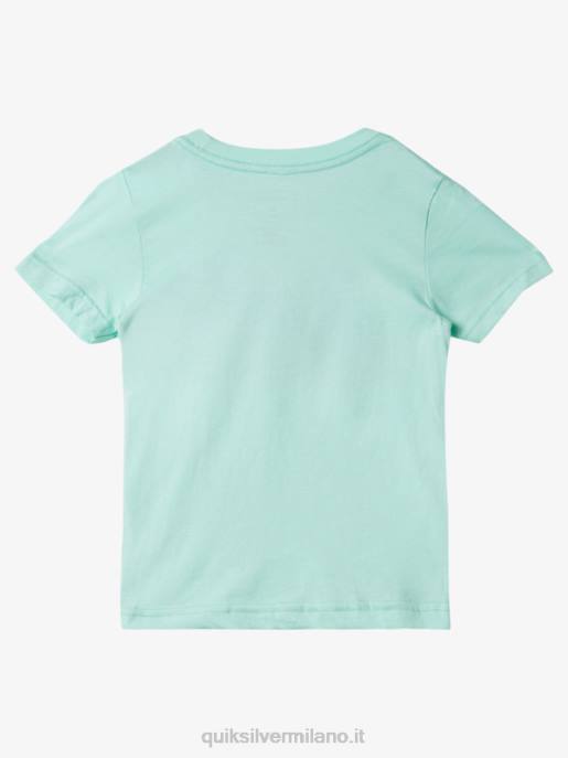esso Quiksilver ragazzi T-shirt patrimonio 2-7 rad vetro da spiaggia HTZR1958