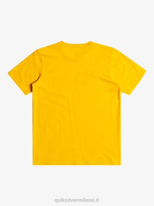 esso Quiksilver ragazzi logo comp - t-shirt verga d\'oro HTZR2316