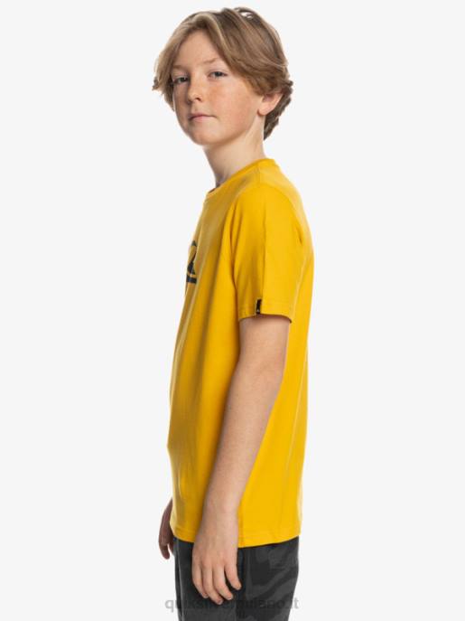 esso Quiksilver ragazzi logo comp - t-shirt verga d\'oro HTZR2316