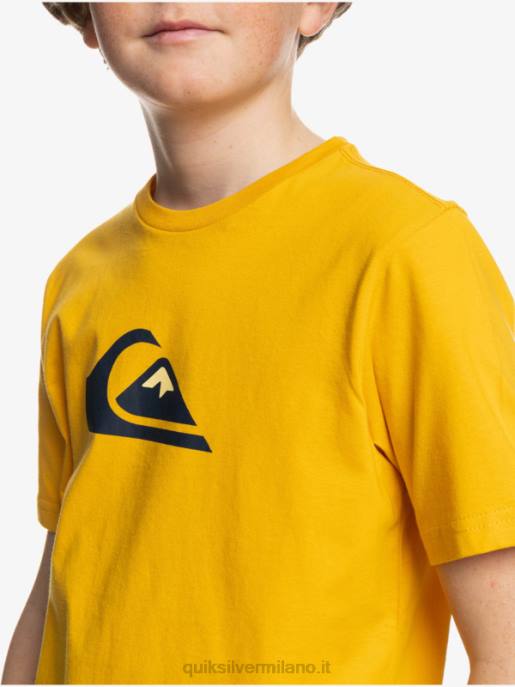 esso Quiksilver ragazzi logo comp - t-shirt verga d\'oro HTZR2316