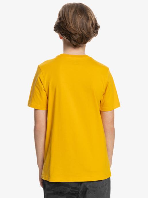 esso Quiksilver ragazzi logo comp - t-shirt verga d\'oro HTZR2316
