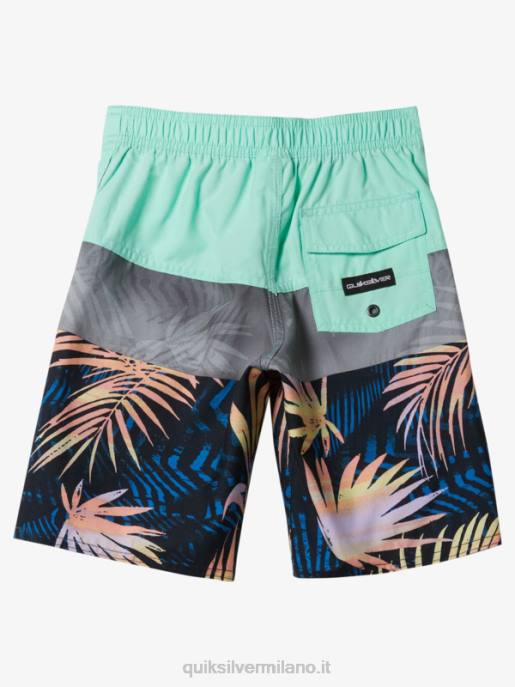esso Quiksilver ragazzi 2-7 pantaloncini da surf da 14 pannelli per tutti i giorni vetro da spiaggia HTZR1899