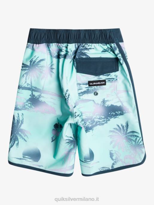 esso Quiksilver ragazzi 2-7 surfsilk capesante 14 pantaloncini da surf vetro da spiaggia HTZR2039
