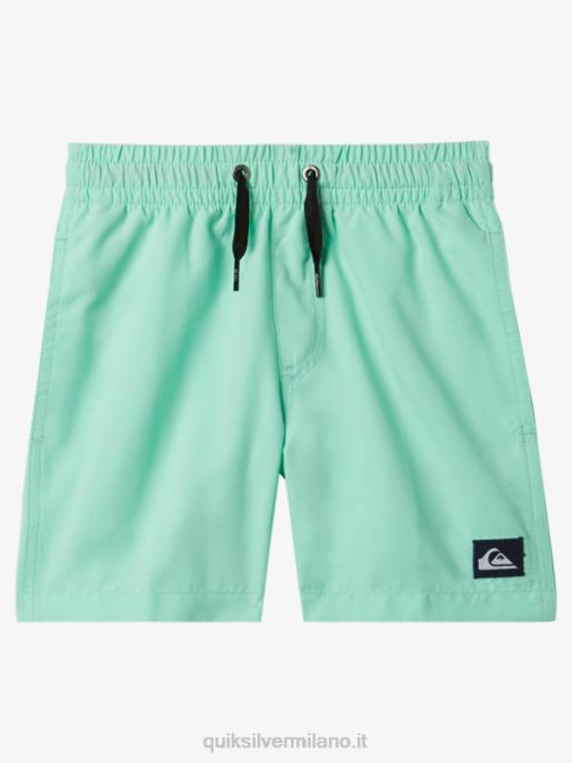 esso Quiksilver ragazzi 2-7 tutti i giorni 12 raffiche vetro da spiaggia HTZR1999