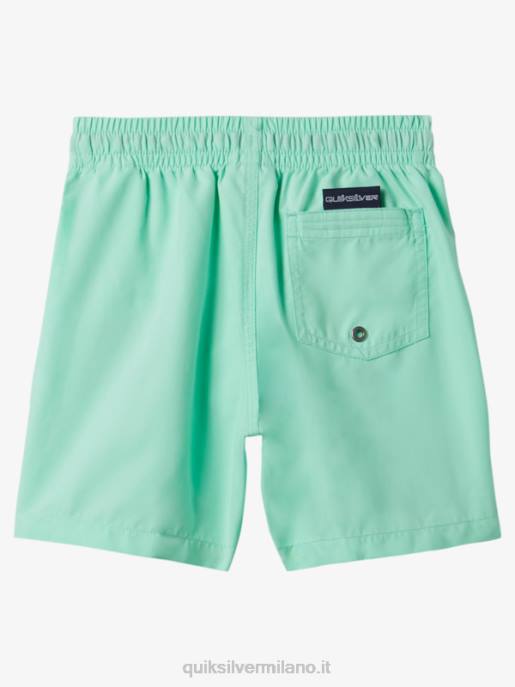 esso Quiksilver ragazzi 2-7 tutti i giorni 12 raffiche vetro da spiaggia HTZR1999