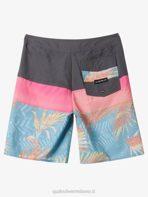 esso Quiksilver ragazzi 8-16 boardshorts pannello 17 di tutti i giorni cancello di ferro HTZR1905