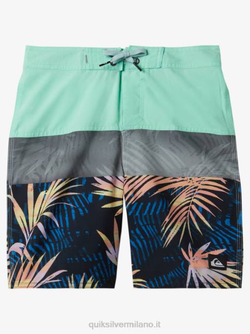 esso Quiksilver ragazzi 8-16 boardshorts pannello 17 di tutti i giorni vetro da spiaggia HTZR1907