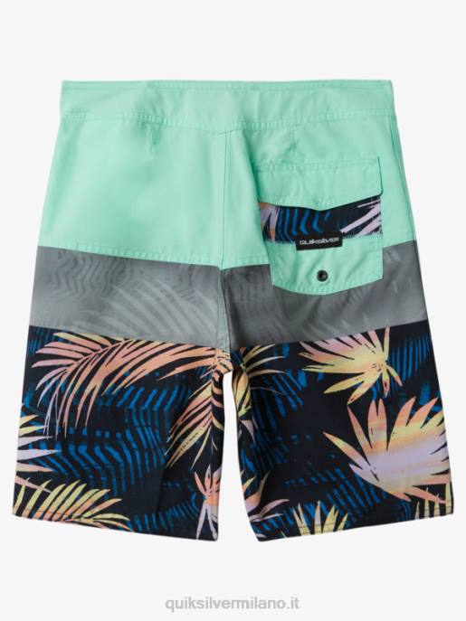 esso Quiksilver ragazzi 8-16 boardshorts pannello 17 di tutti i giorni vetro da spiaggia HTZR1907