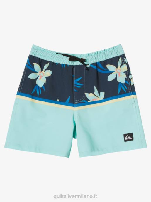 esso Quiksilver ragazzi 8-16 divisione surfsilk vl 14 raffiche vetro da spiaggia HTZR2141