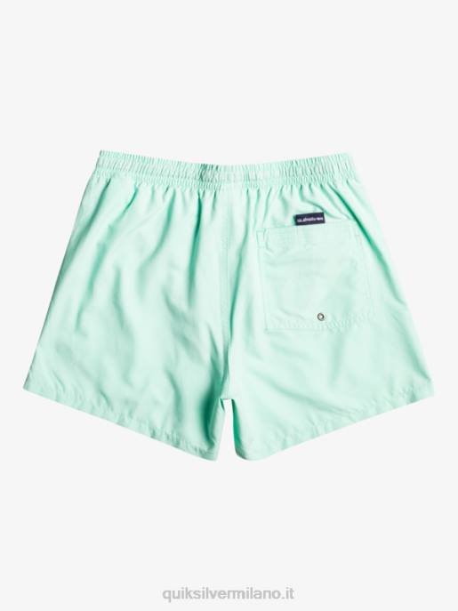 esso Quiksilver ragazzi 8-16 ogni giorno 15 raffiche vetro da spiaggia HTZR1919