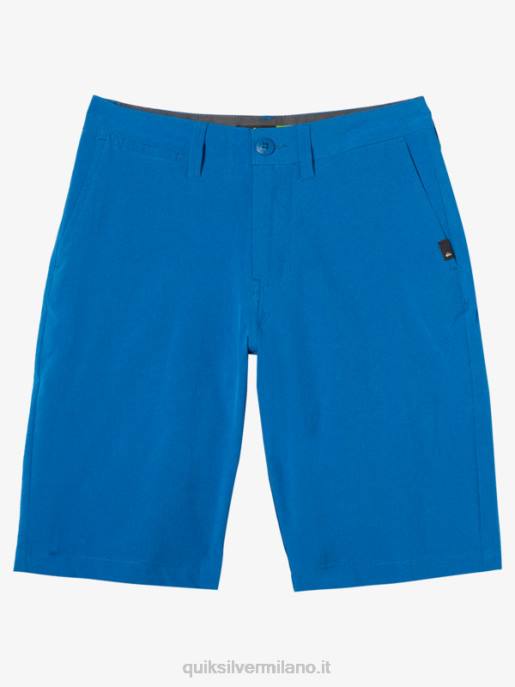 esso Quiksilver ragazzi 8-16 pantaloncini da surf Anfibio Erica Unione 20 boccaglio blu HTZR2058