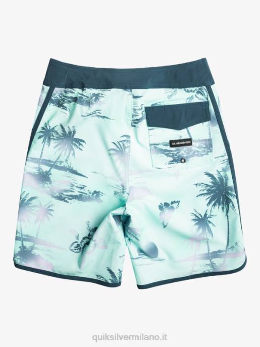 esso Quiksilver ragazzi 8-16 surfsilk capesante 17 boardshorts vetro da spiaggia HTZR2020