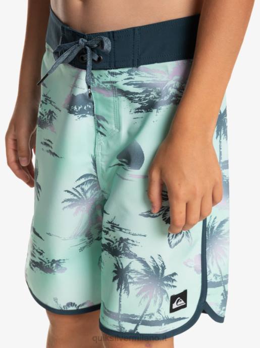 esso Quiksilver ragazzi 8-16 surfsilk capesante 17 boardshorts vetro da spiaggia HTZR2020