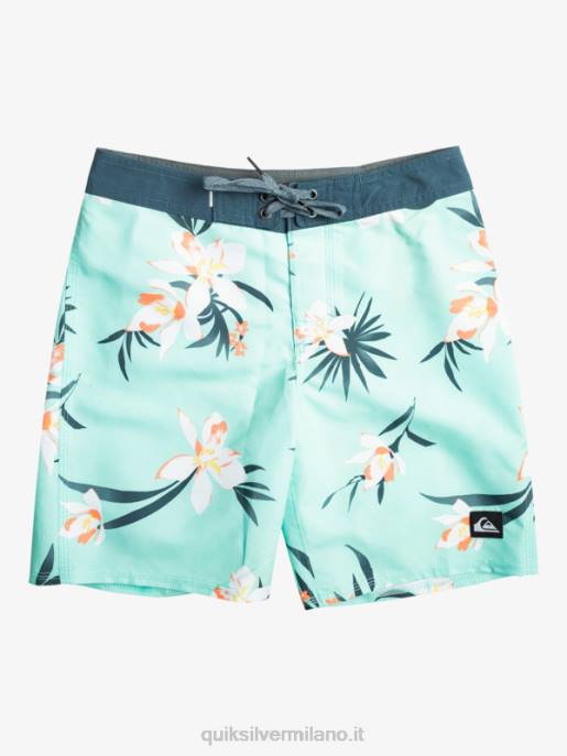 esso Quiksilver ragazzi 8-16 tutti i giorni qb 69 16 boardshorts vetro da spiaggia HTZR2140