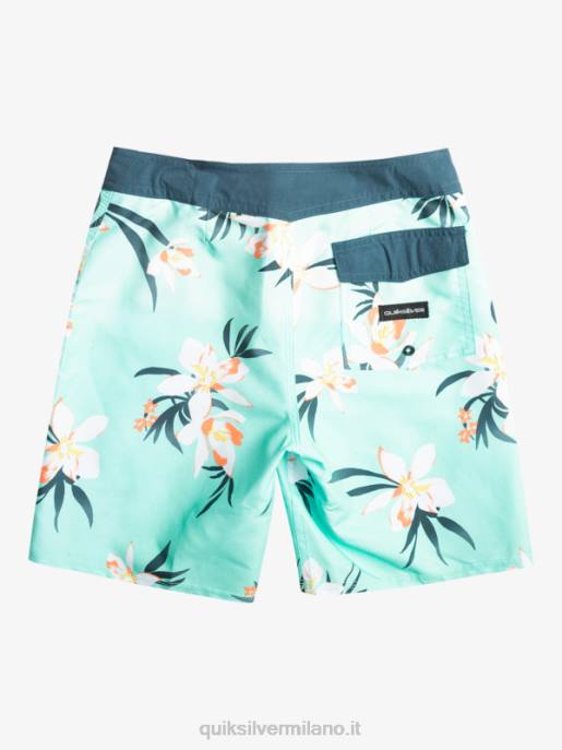 esso Quiksilver ragazzi 8-16 tutti i giorni qb 69 16 boardshorts vetro da spiaggia HTZR2140