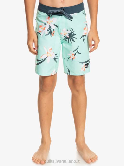 esso Quiksilver ragazzi 8-16 tutti i giorni qb 69 16 boardshorts vetro da spiaggia HTZR2140