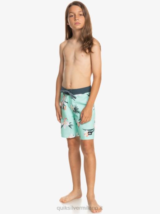 esso Quiksilver ragazzi 8-16 tutti i giorni qb 69 16 boardshorts vetro da spiaggia HTZR2140