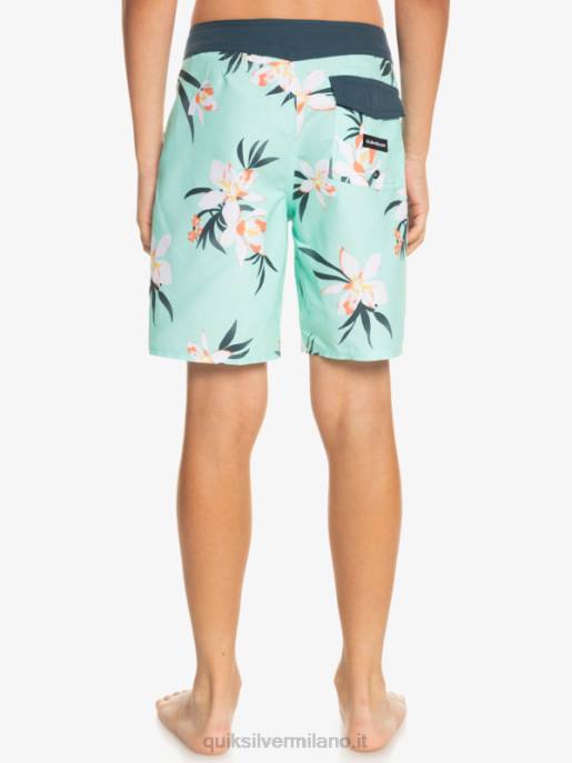esso Quiksilver ragazzi 8-16 tutti i giorni qb 69 16 boardshorts vetro da spiaggia HTZR2140