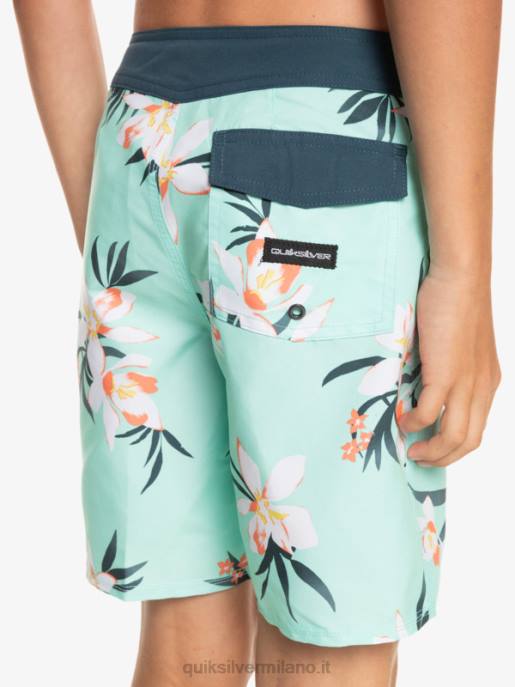 esso Quiksilver ragazzi 8-16 tutti i giorni qb 69 16 boardshorts vetro da spiaggia HTZR2140