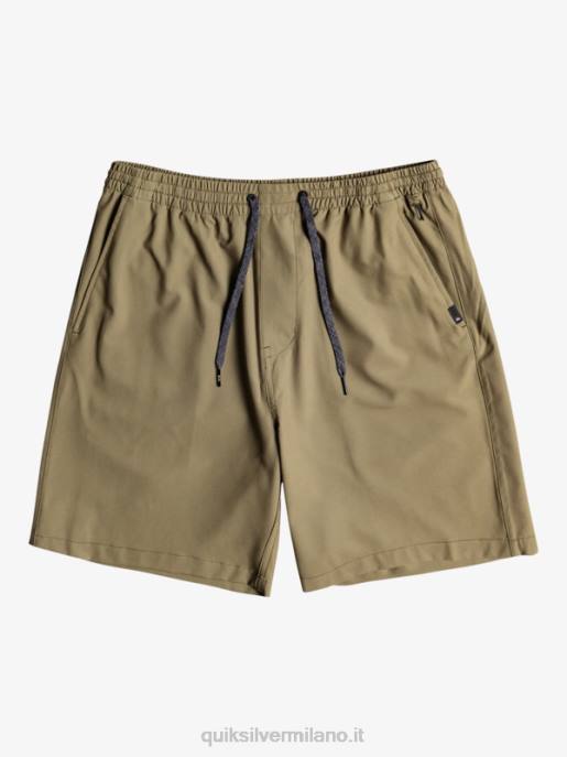esso Quiksilver ragazzi 8-16 ocean elastic amph yth 18 pantaloncini ibridi foglia d'uva HTZR2255
