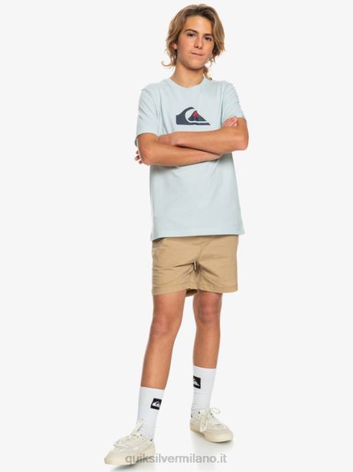 esso Quiksilver ragazzi 8-16 taxer 15 pantaloncini elastici in vita plage HTZR2080