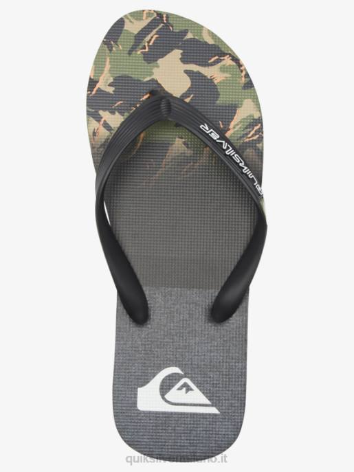 esso Quiksilver uomini infradito con pannello molokai verde 1 HTZR570