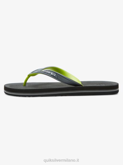 esso Quiksilver uomini infradito core haleiwa grigio 1 HTZR953