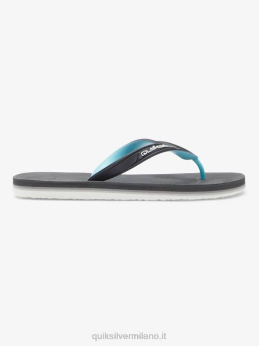 esso Quiksilver uomini infradito core haleiwa grigio 2 HTZR952