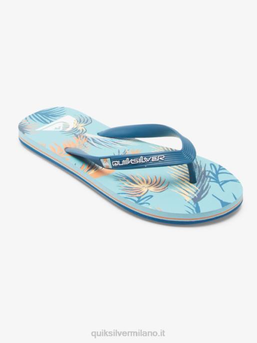 esso Quiksilver uomini infradito molokai art blu/nero/giallo HTZR519