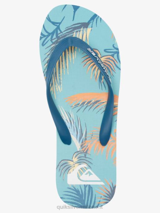 esso Quiksilver uomini infradito molokai art blu/nero/giallo HTZR519
