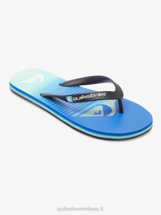 esso Quiksilver uomini infradito molokai art nero/verde/blu HTZR518