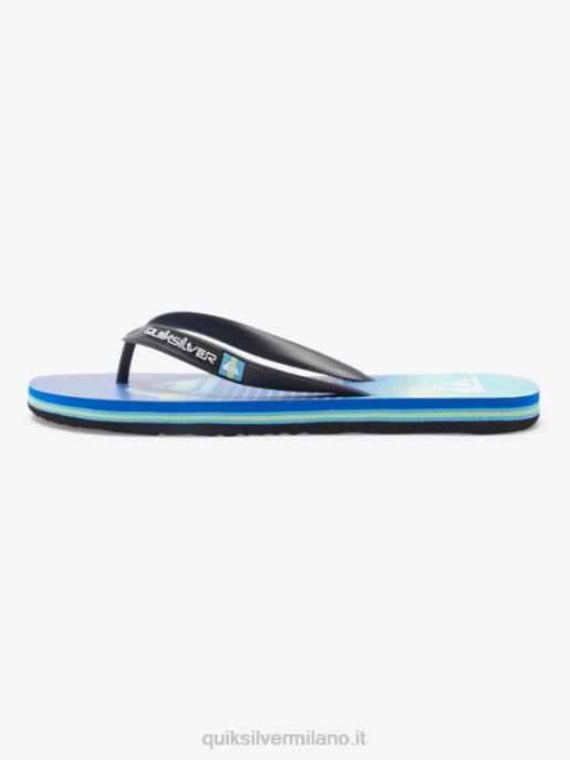 esso Quiksilver uomini infradito molokai art nero/verde/blu HTZR518