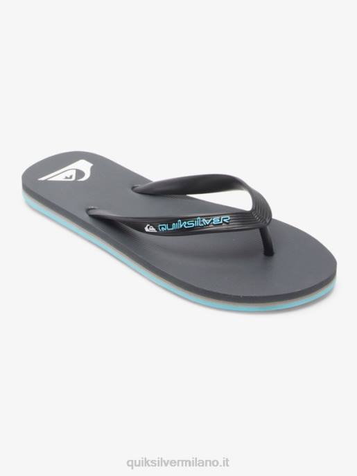 esso Quiksilver uomini infradito molokai core grigio 4 HTZR594
