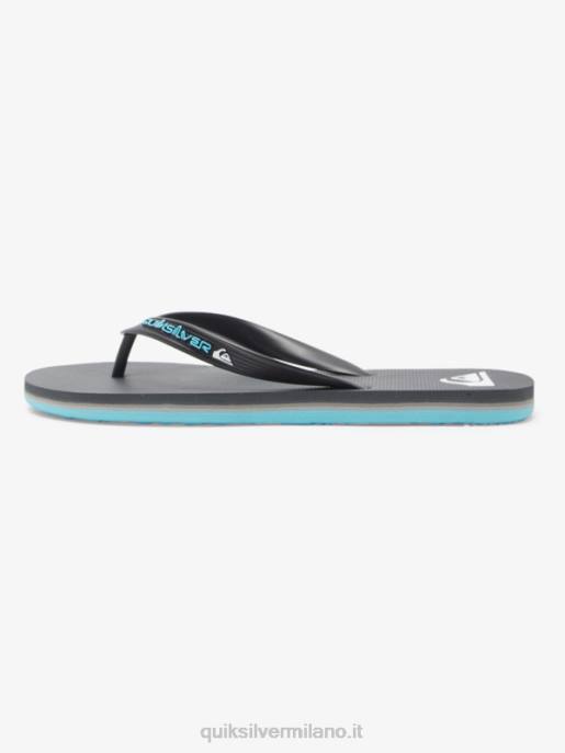 esso Quiksilver uomini infradito molokai core grigio 4 HTZR594