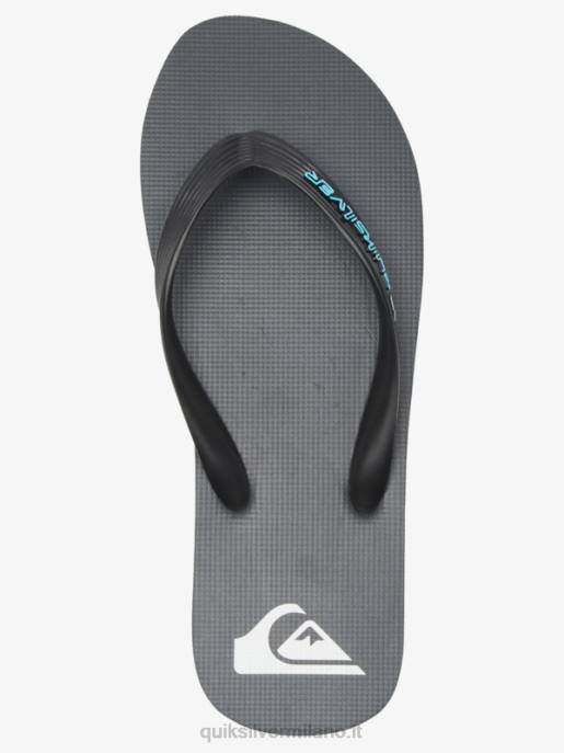 esso Quiksilver uomini infradito molokai core grigio 4 HTZR594