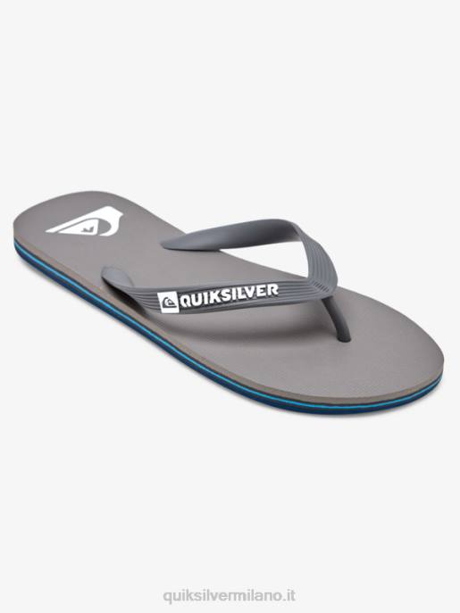 esso Quiksilver uomini infradito molokai grigio 3 HTZR1592