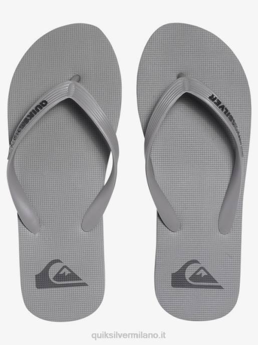 esso Quiksilver uomini infradito molokai grigio HTZR1590