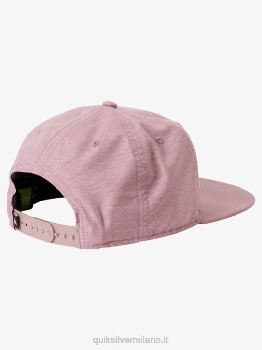 esso Quiksilver uomini cappello snapback dollaro d\'argento erica scura dell\'orchidea HTZR1666
